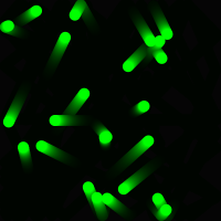 Program thumbnail
