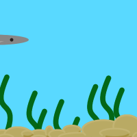 Program thumbnail